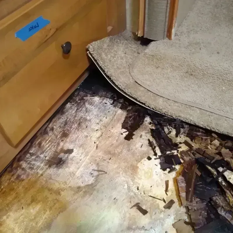 Wood Floor Water Damage in Arkadelphia, AR